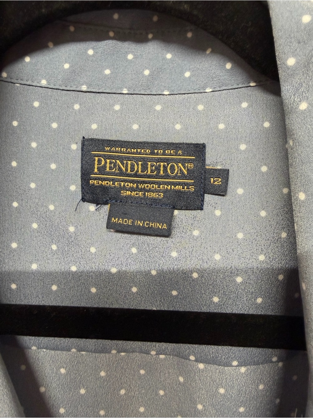 Pendleton Blue Dot-Print Button-Up Shirt - Picture 6 of 7